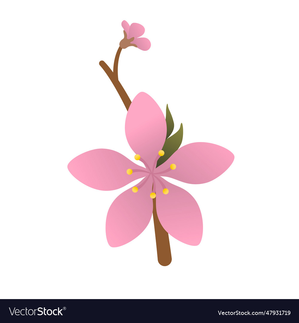 A flowering peach tree Royalty Free Vector Image