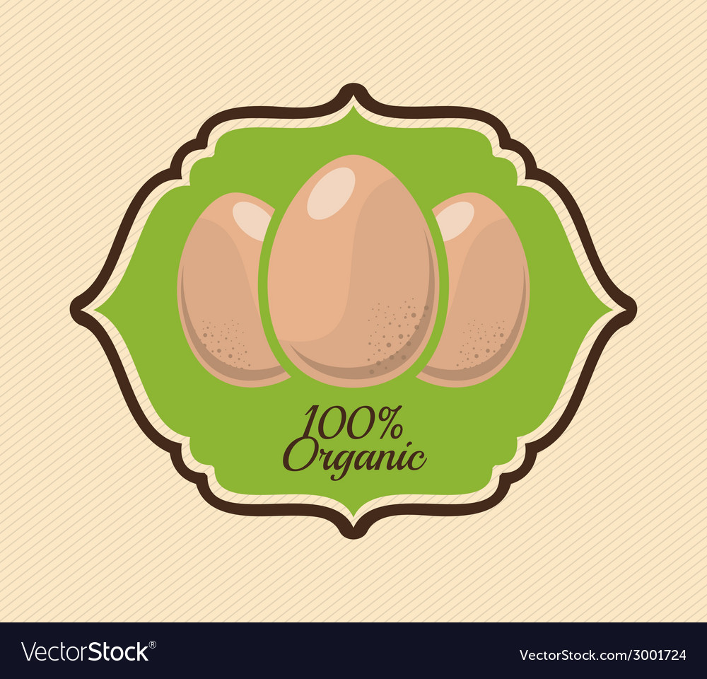 Egg design Royalty Free Vector Image - VectorStock