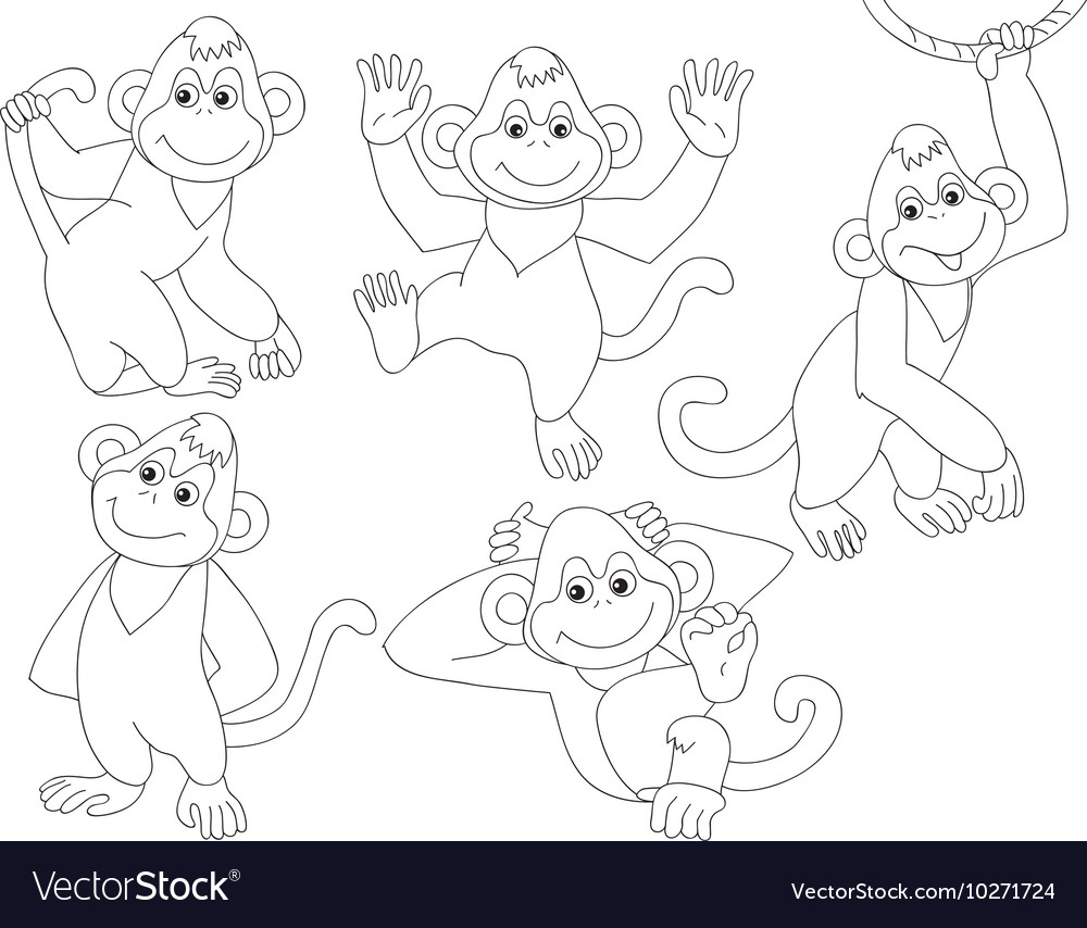 Monkeys set