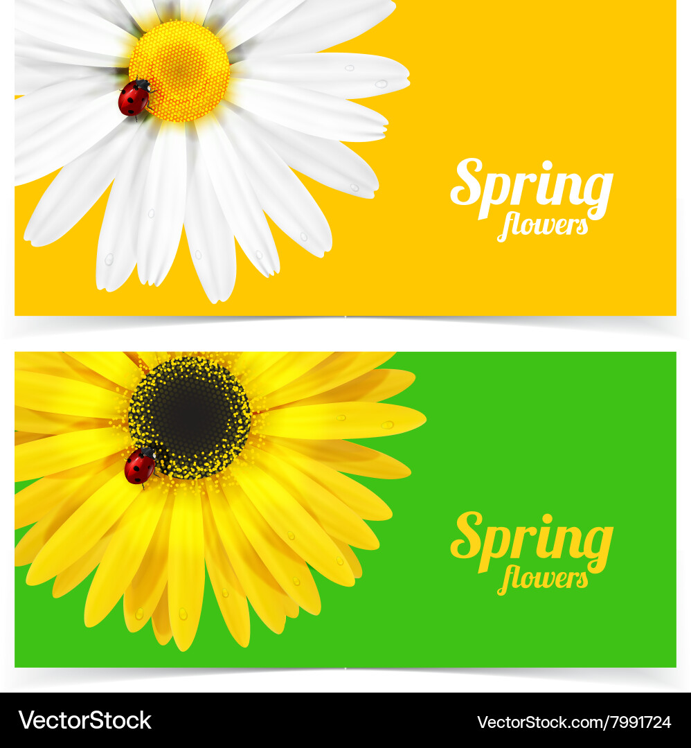 Spring flower and ladybug Royalty Free Vector Image