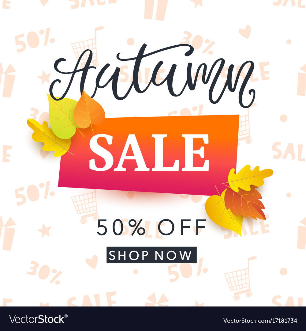 autumn sale banner template with fall leaves vector image