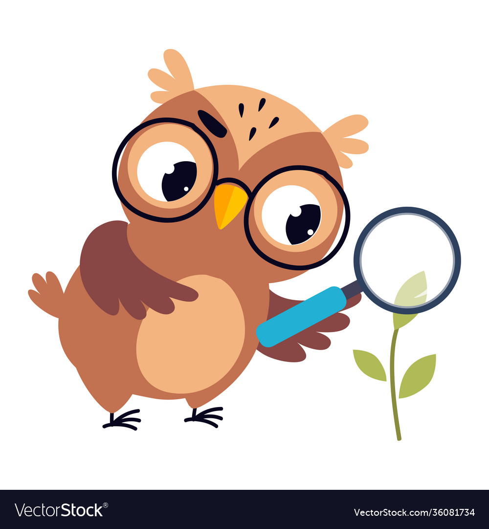 Wise brown owl cute bird teacher cartoon Vector Image