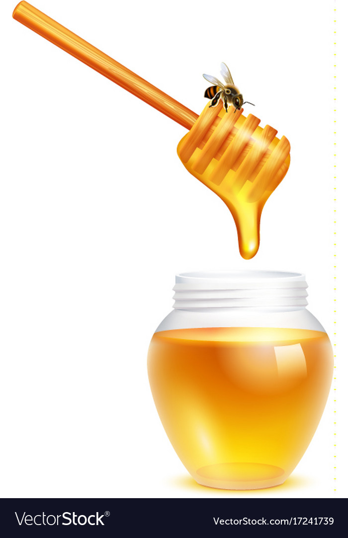 Honey dripping in glass jar Royalty Free Vector Image