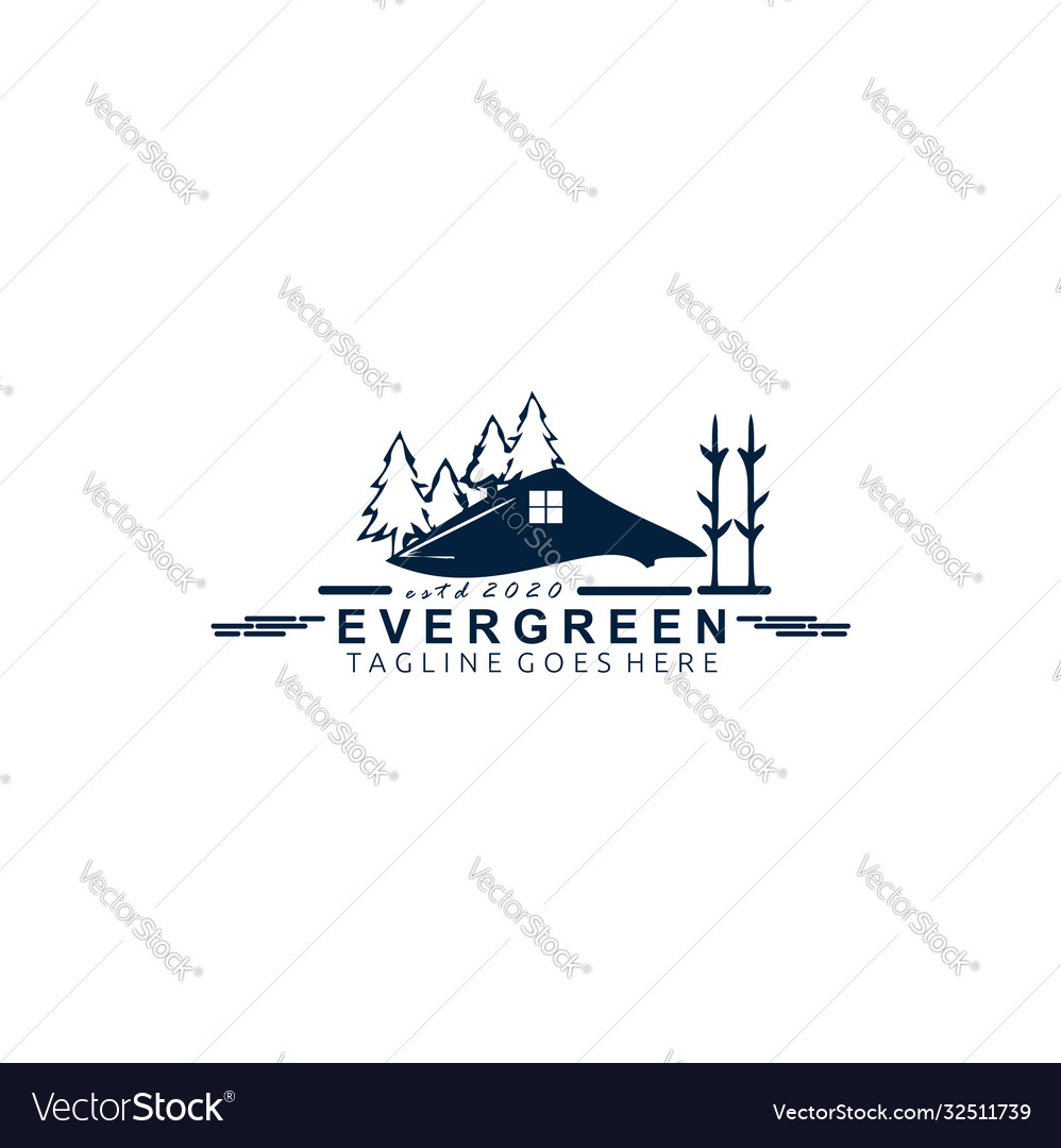 Pine evergreen tree Royalty Free Vector Image - VectorStock