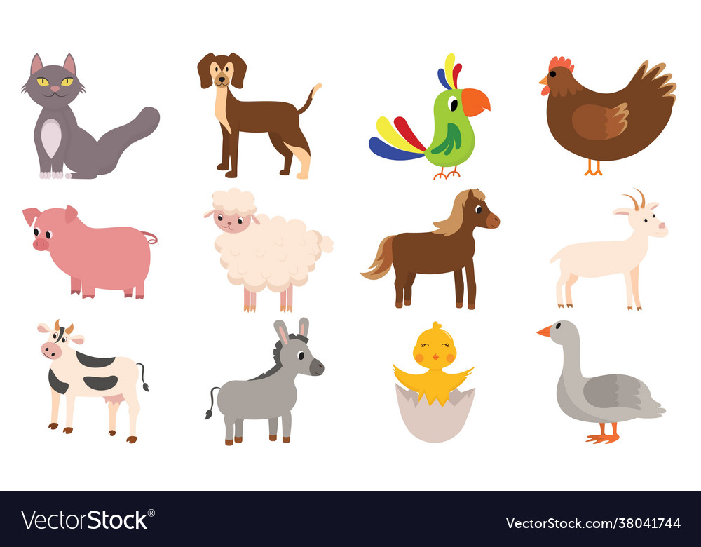 Set pets Royalty Free Vector Image - VectorStock