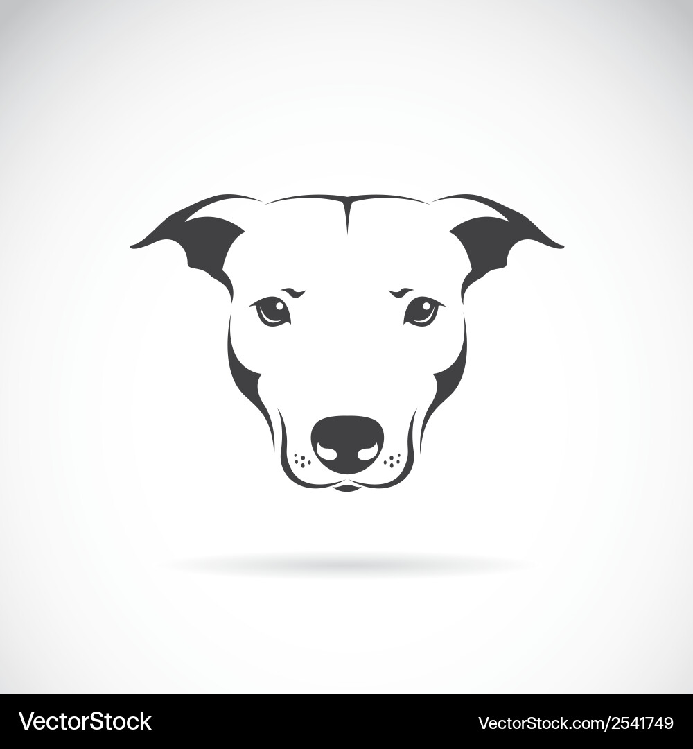 Image a dog head Royalty Free Vector Image - VectorStock
