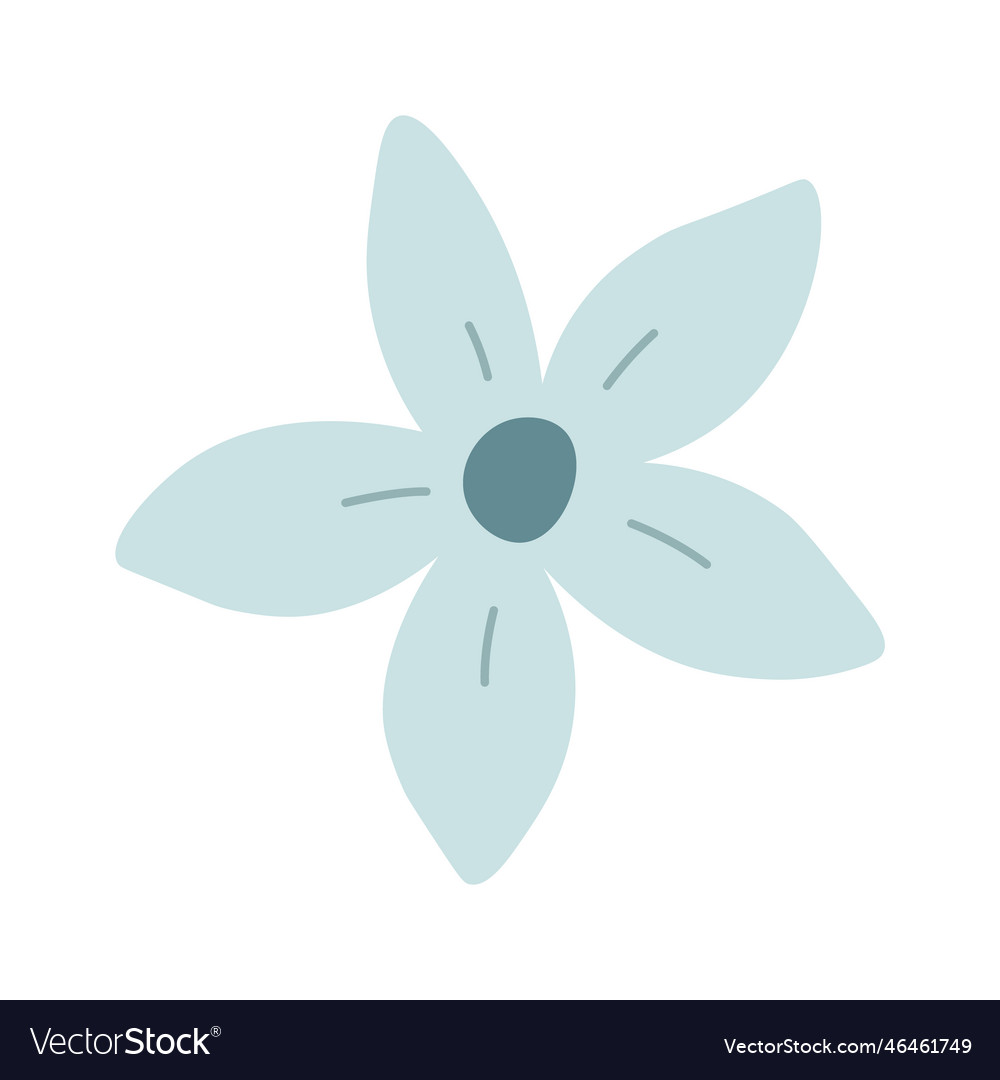 Tropical plant flower head Royalty Free Vector Image