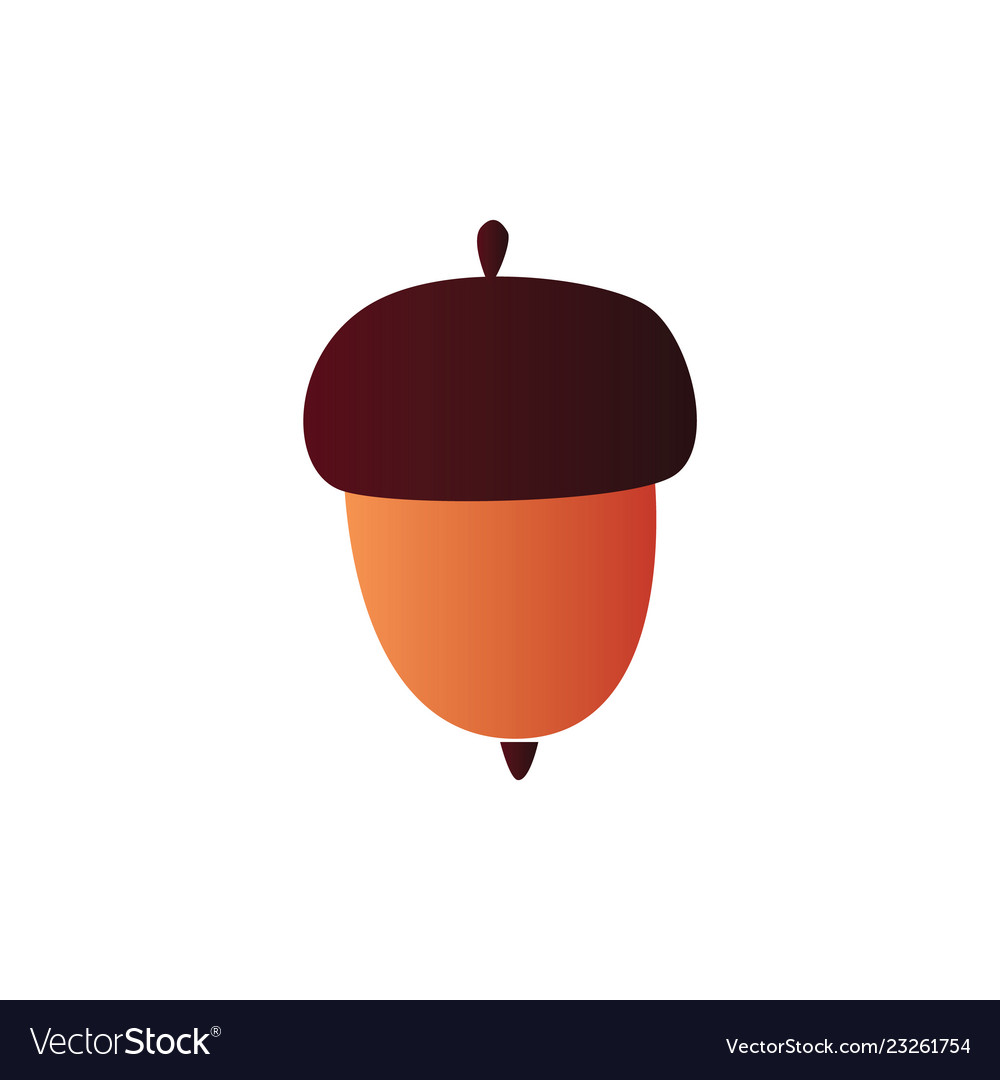 Brown acorn - colorful Royalty Free Vector Image