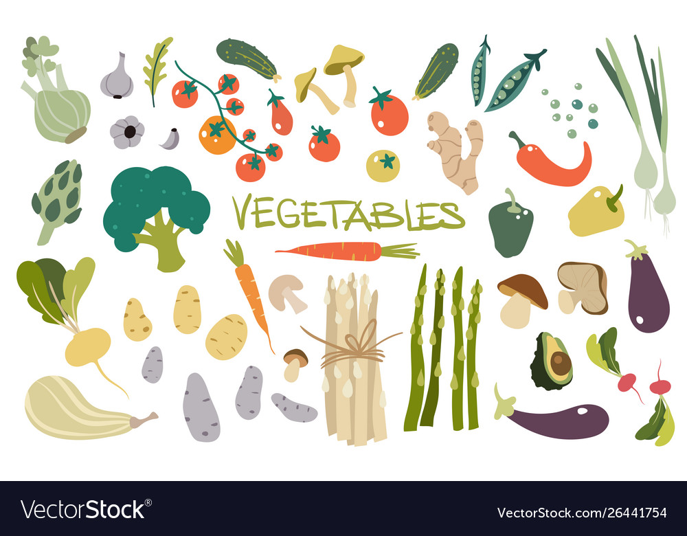 Hand drawn fresh delicious vegetables package Vector Image