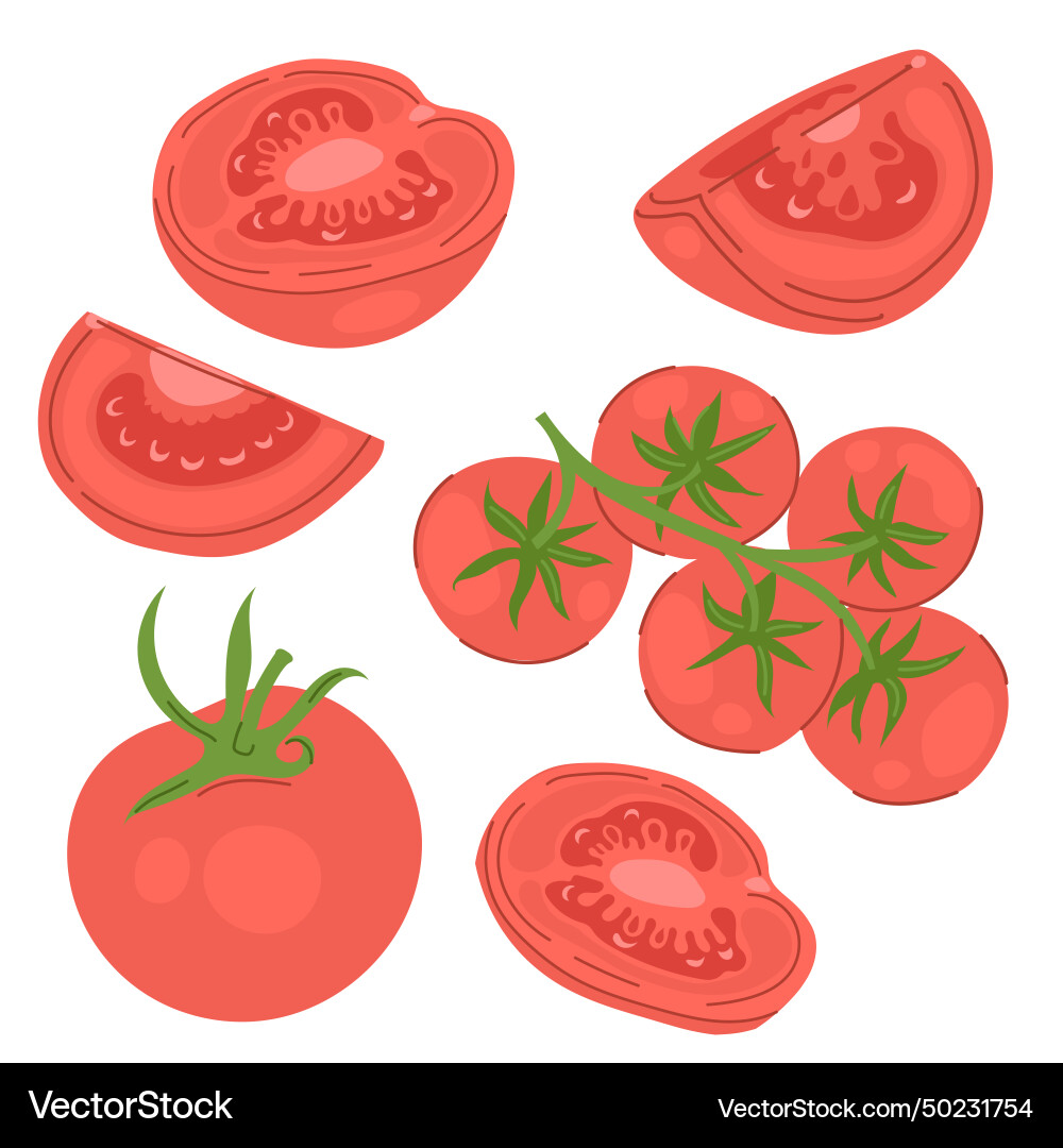Tomatoes set Royalty Free Vector Image - VectorStock