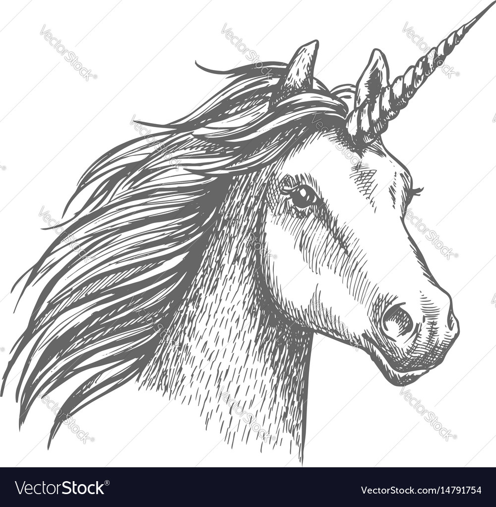 realistic unicorn drawing head