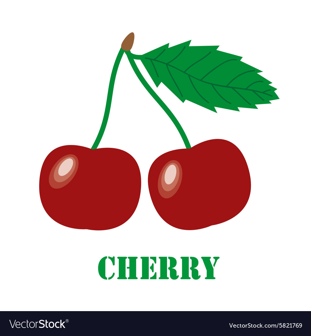 Cherries Isolated Object Royalty Free Vector Image