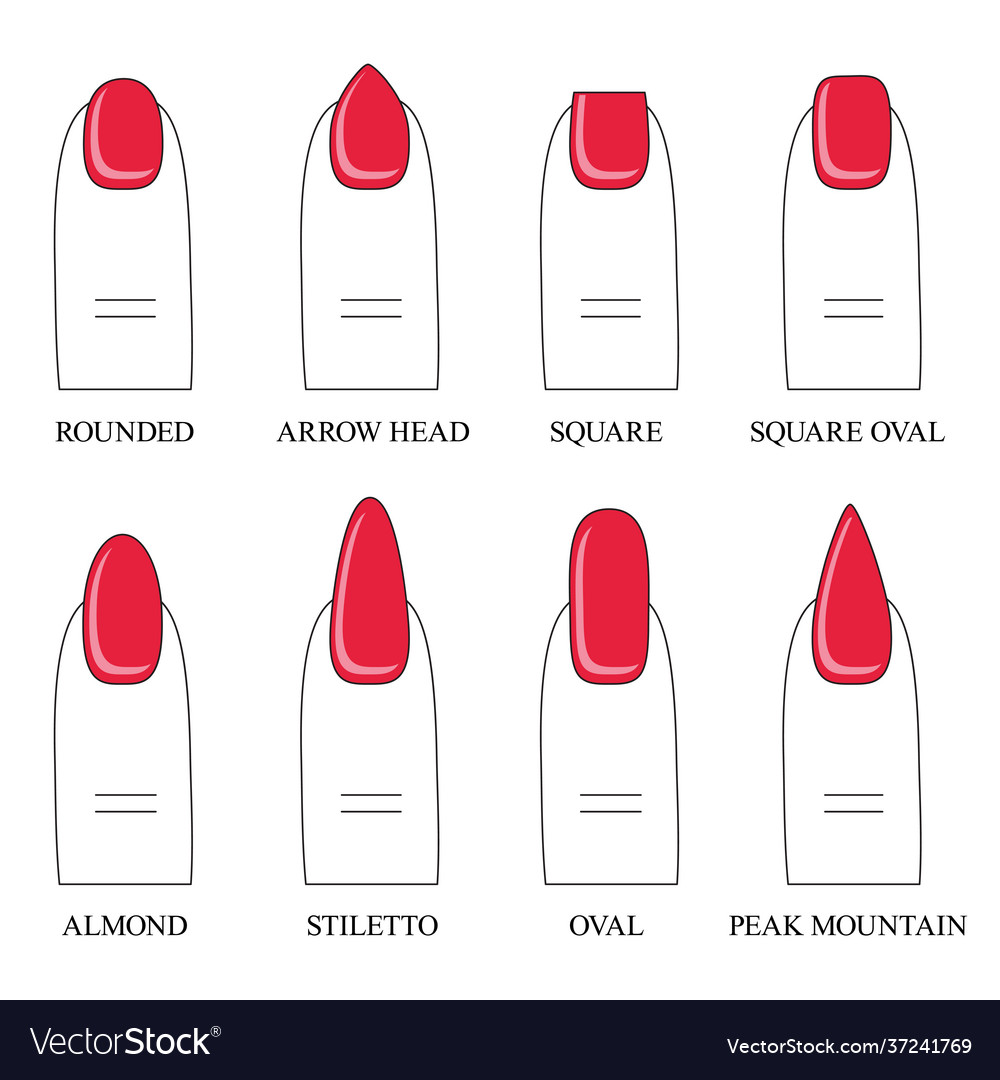 Different forms shapes nails manicure icon Vector Image Different forms shapes nails manicure icon Vector Image