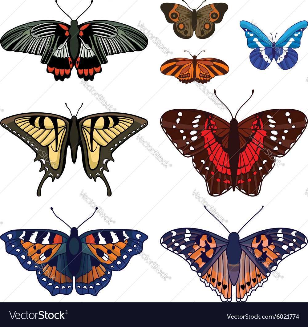 Set with butterflies isolated on white Royalty Free Vector