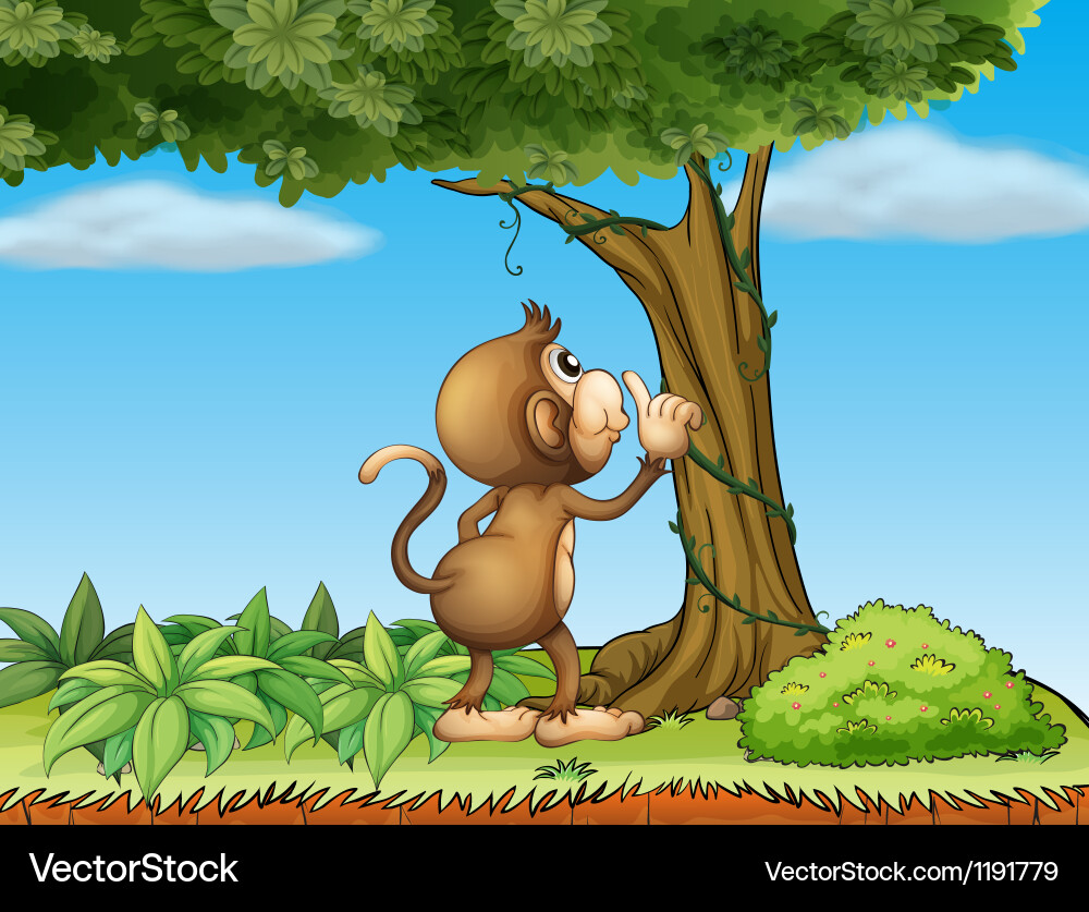 A monkey watching tree Royalty Free Vector Image