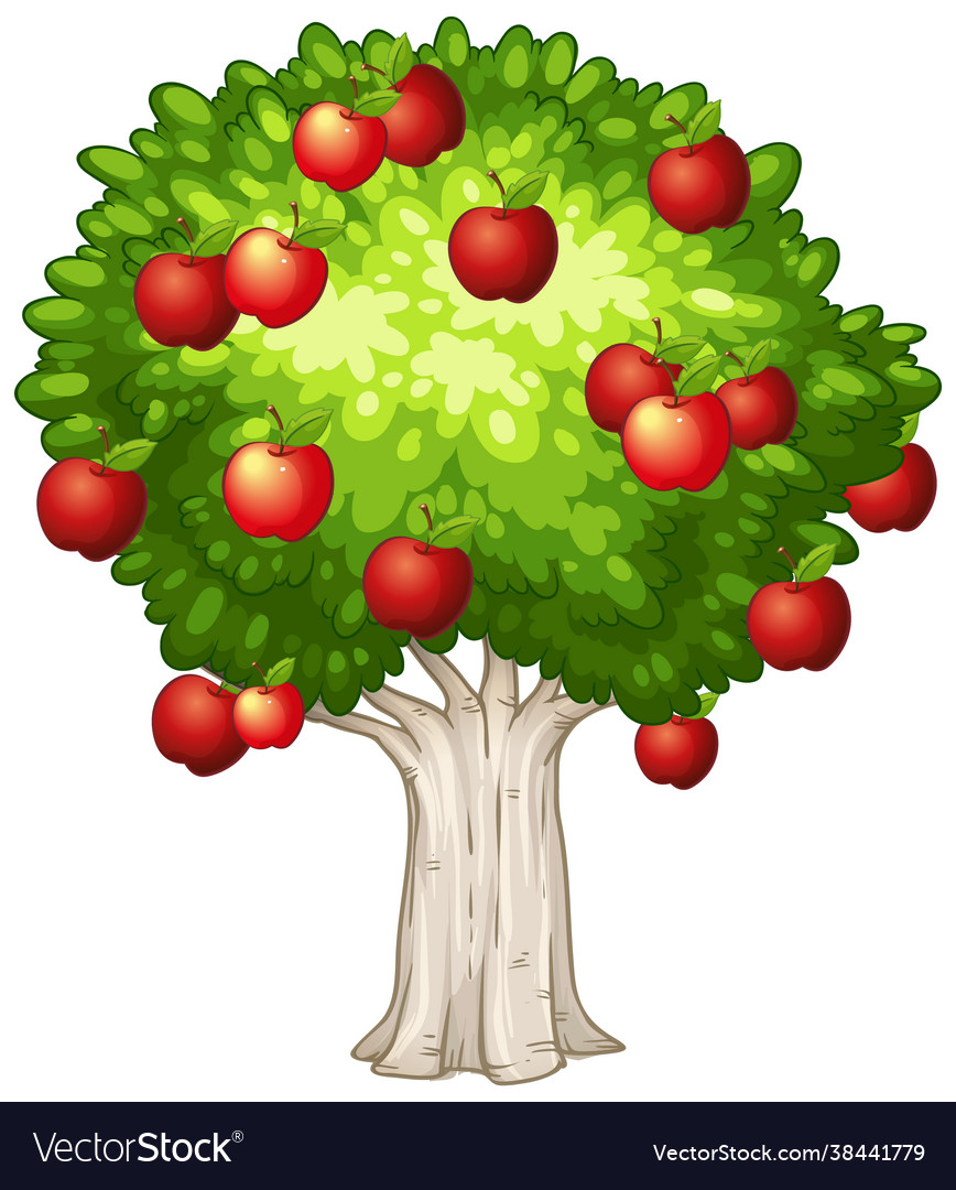 Apple tree isolated on white background Royalty Free Vector