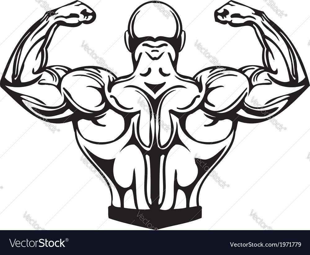 Bodybuilding and powerlifting Royalty Free Vector Image