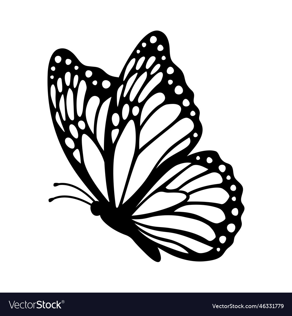 Monarch butterfly silhouette side view isolated Vector Image