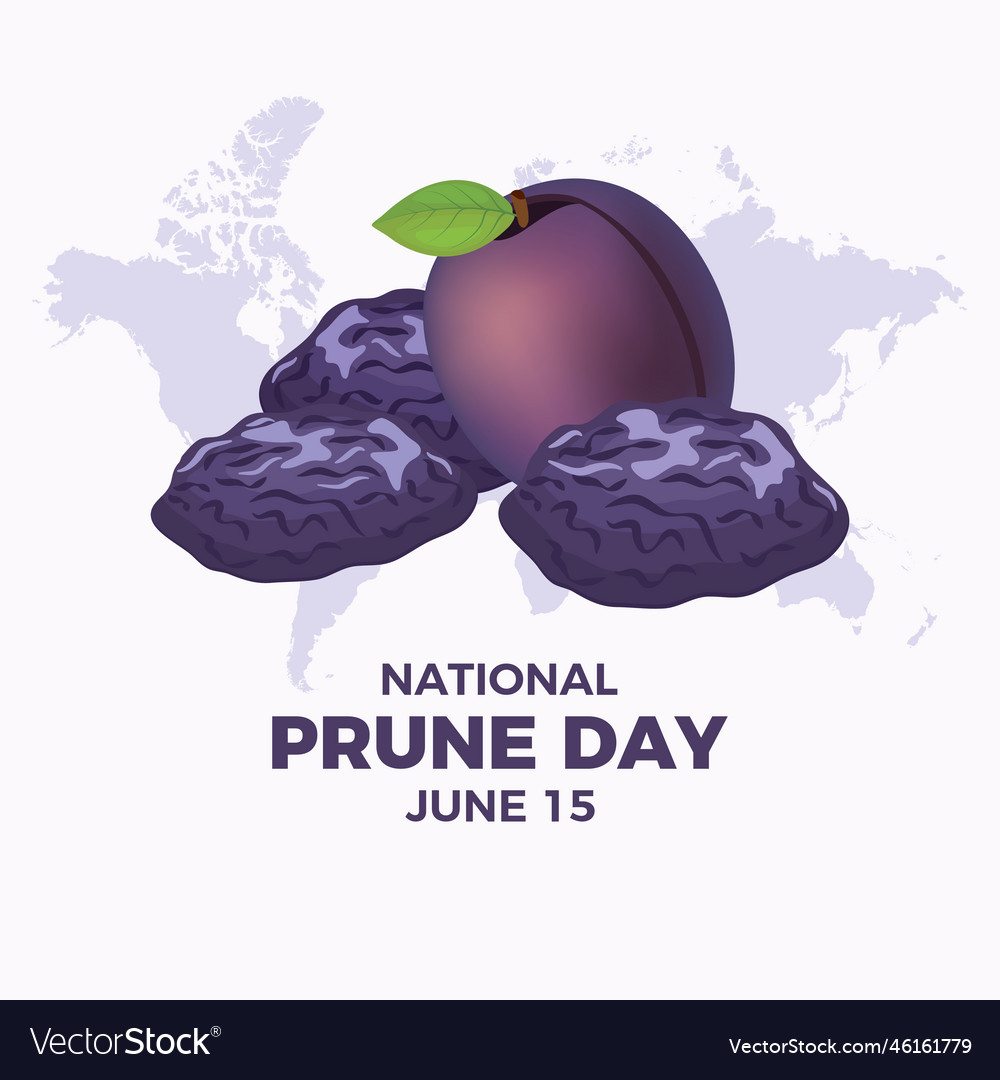 National prune day poster Royalty Free Vector Image