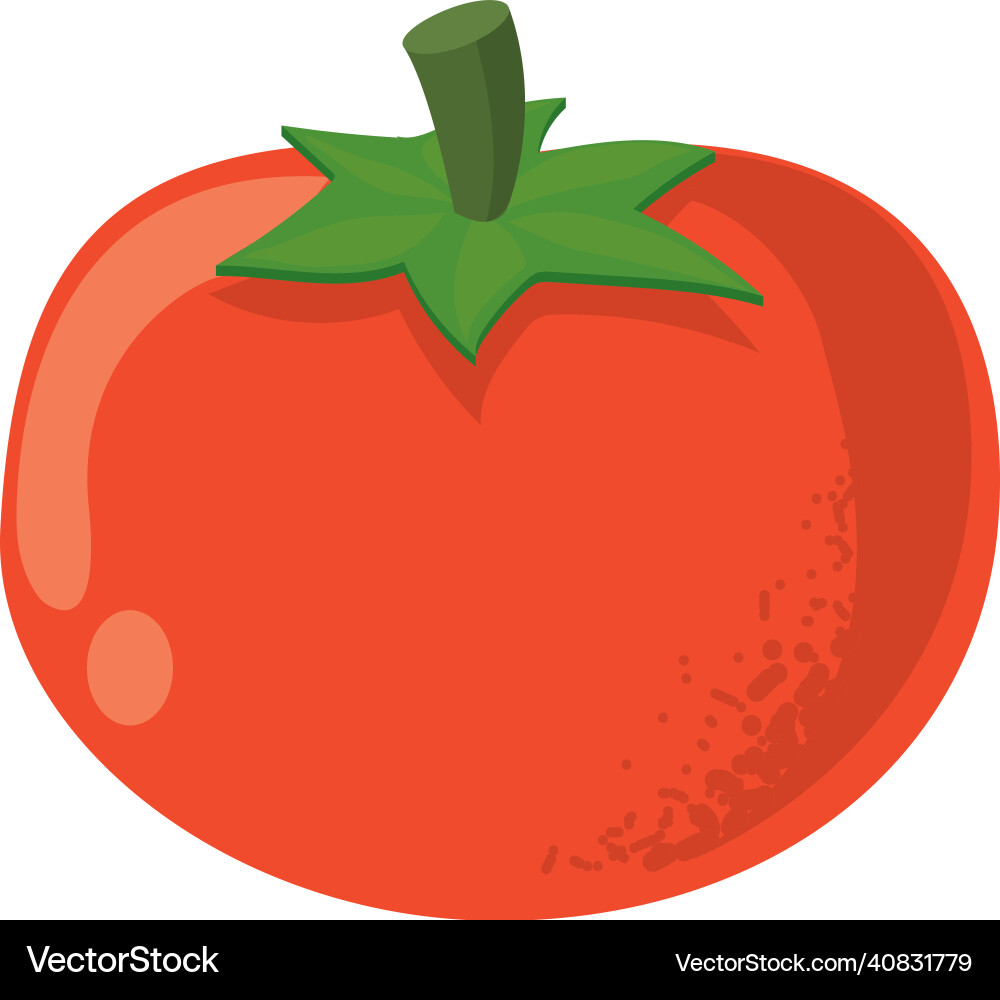 Red tomato Royalty Free Vector Image - VectorStock