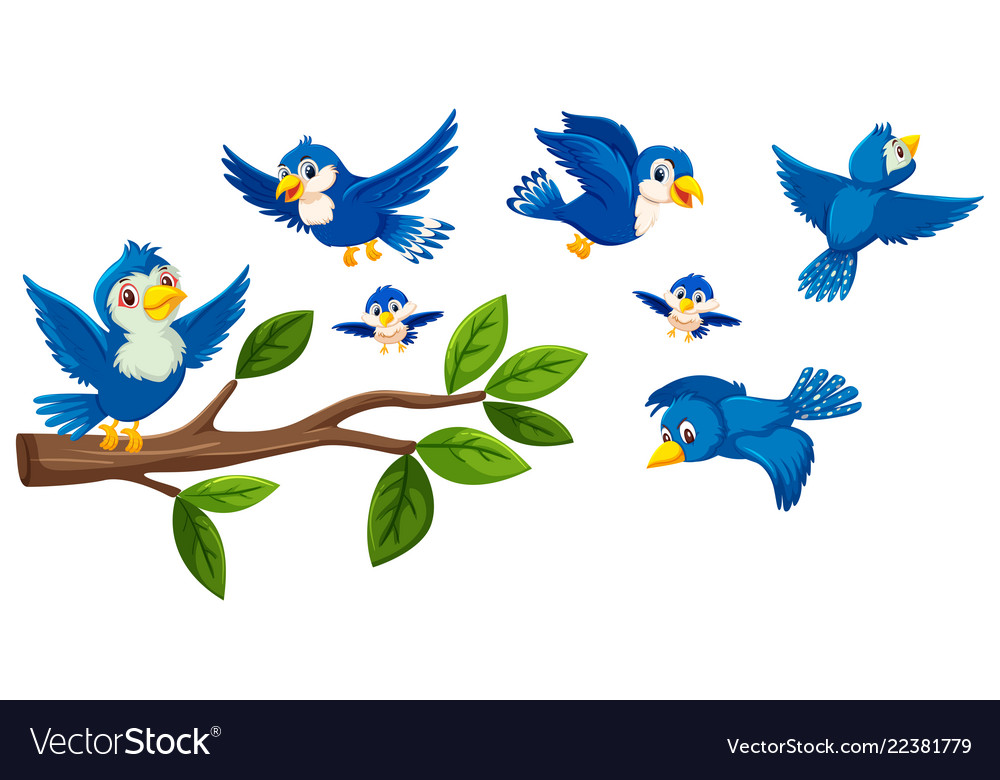 Tree branch and birds collection Royalty Free Vector Image