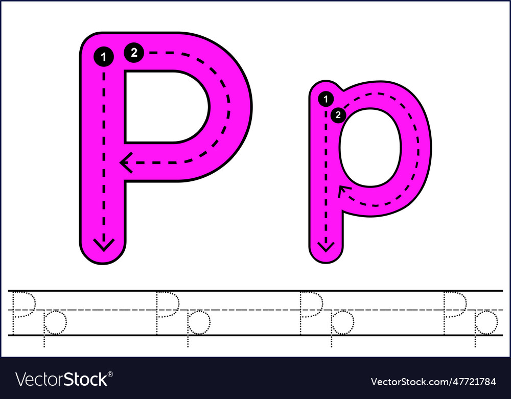 Learning english alphabet for kids letter p Vector Image