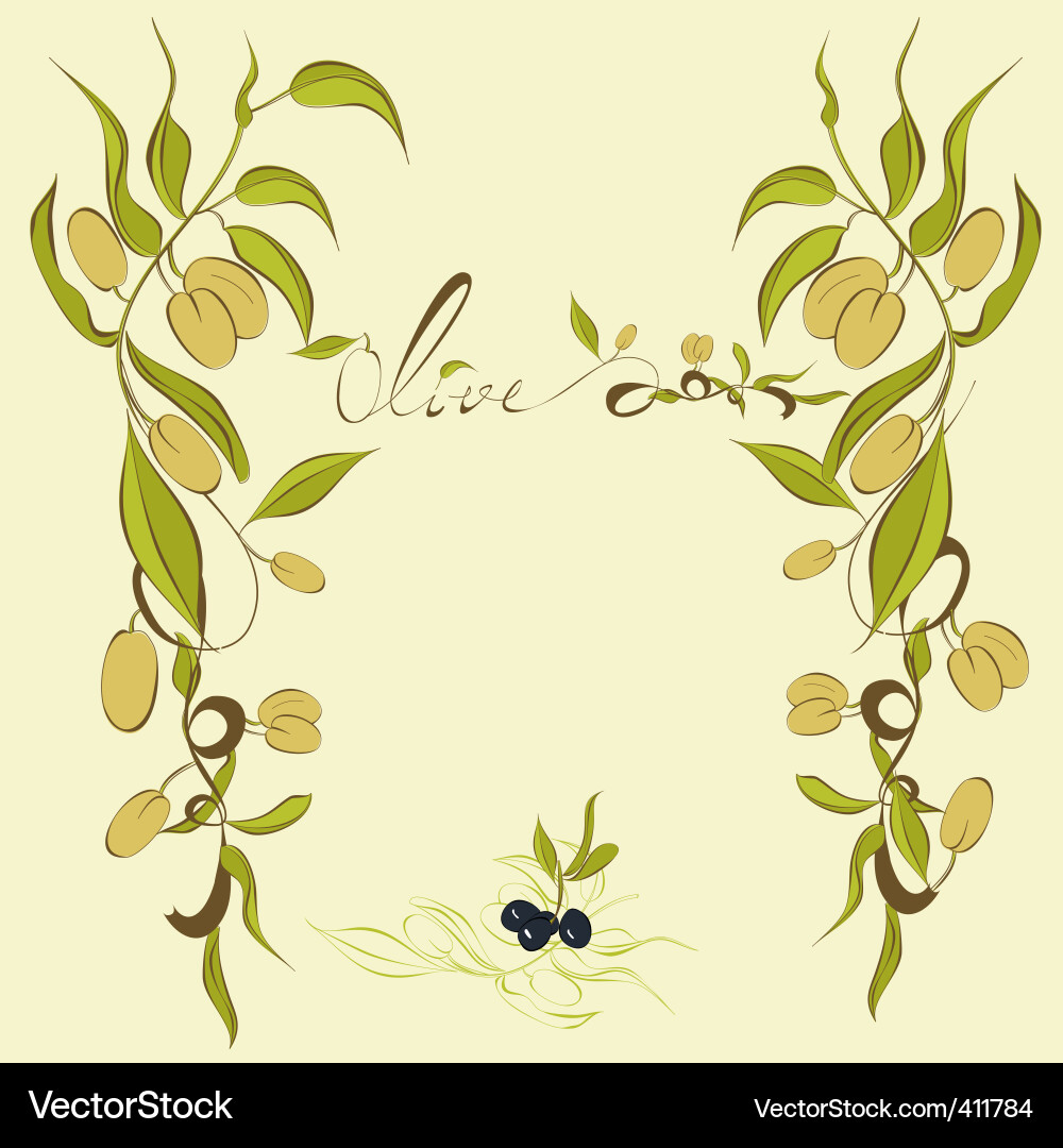 Olives branches Royalty Free Vector Image - VectorStock