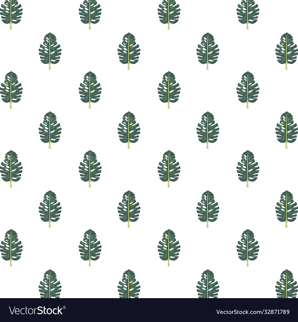 Tropical leafs palm nature pattern background Vector Image