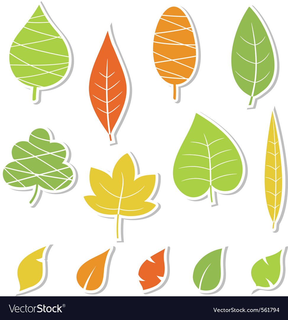 Autumn leaves Royalty Free Vector Image - VectorStock