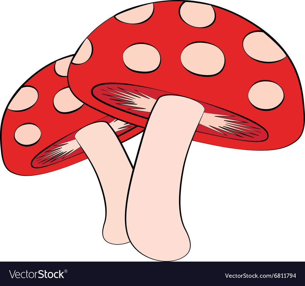 Mushroom Royalty Free Vector Image - VectorStock