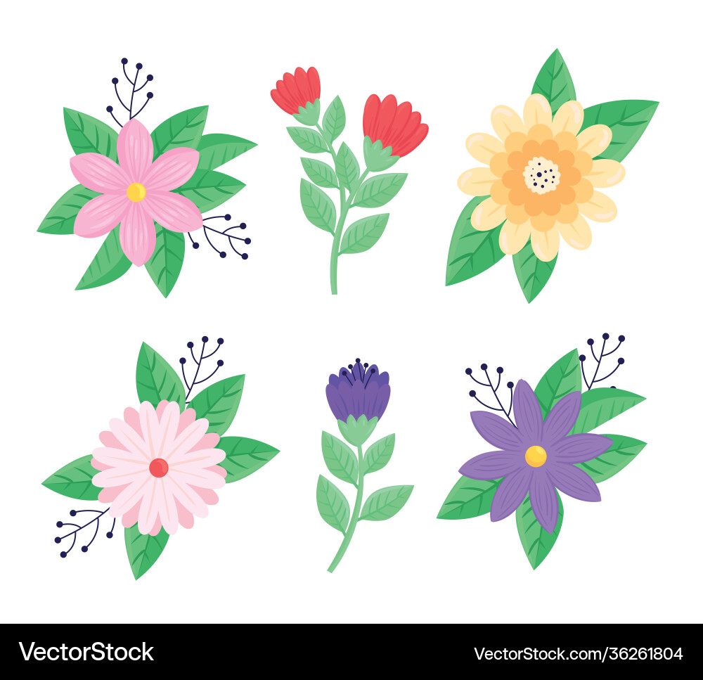 Bundle six beauty flowers spring season set Vector Image