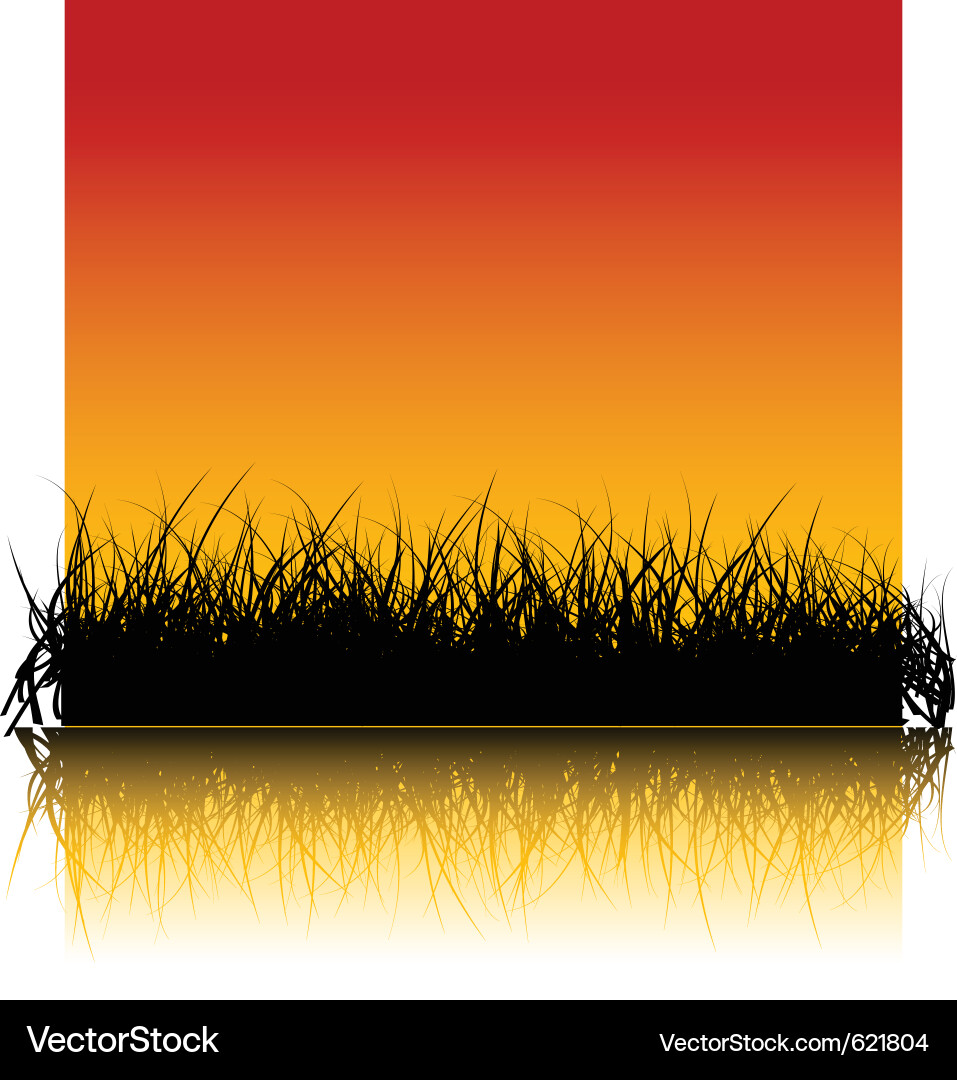 Grass background Royalty Free Vector Image - VectorStock