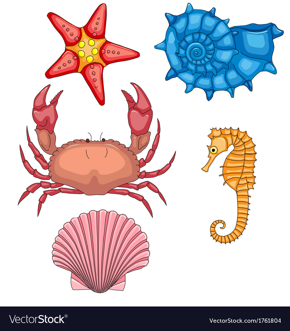 Set sea animals Royalty Free Vector Image - VectorStock