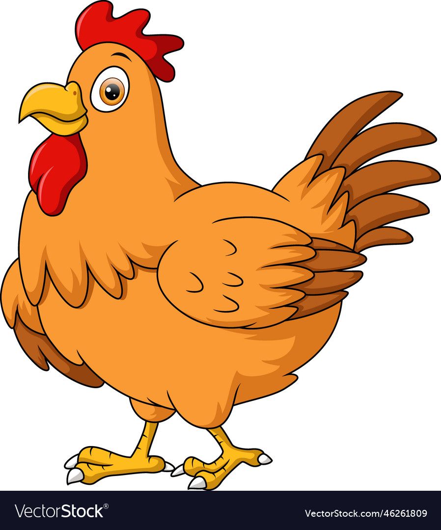 Cute chicken hen cartoon on white background Vector Image