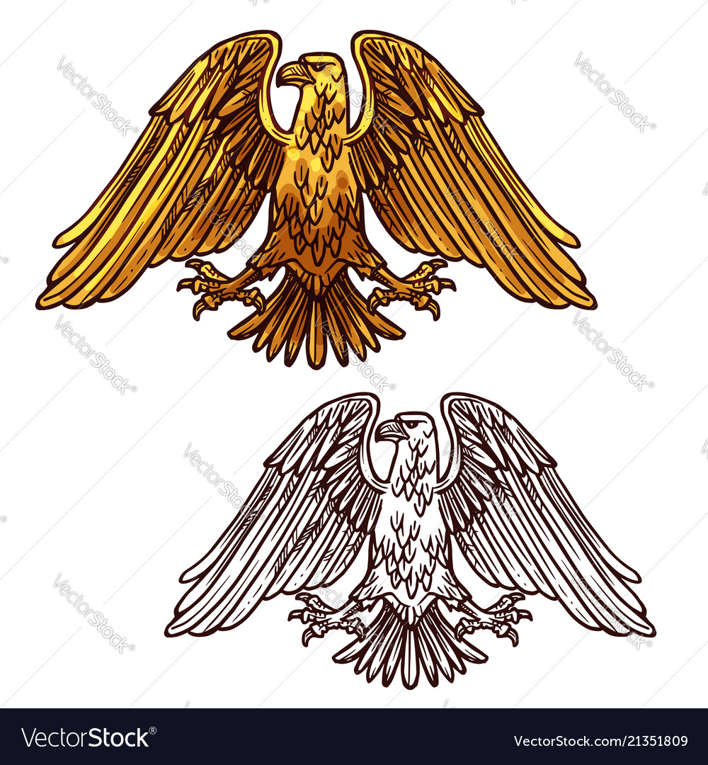 Heraldic eagle symbol power and strength Vector Image