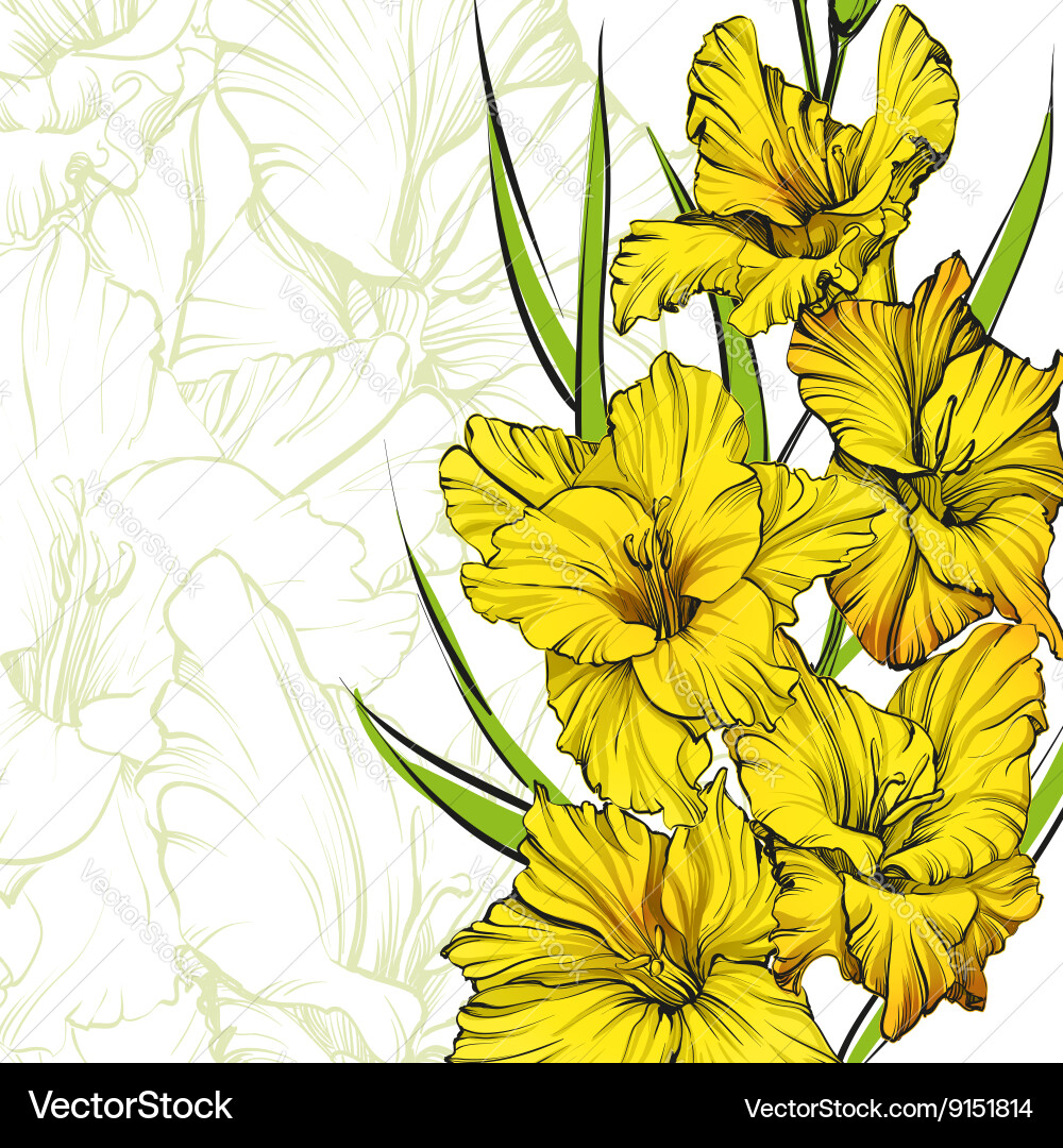 Floral Blooming Gladiolus Hand Drawn Royalty Free Vector