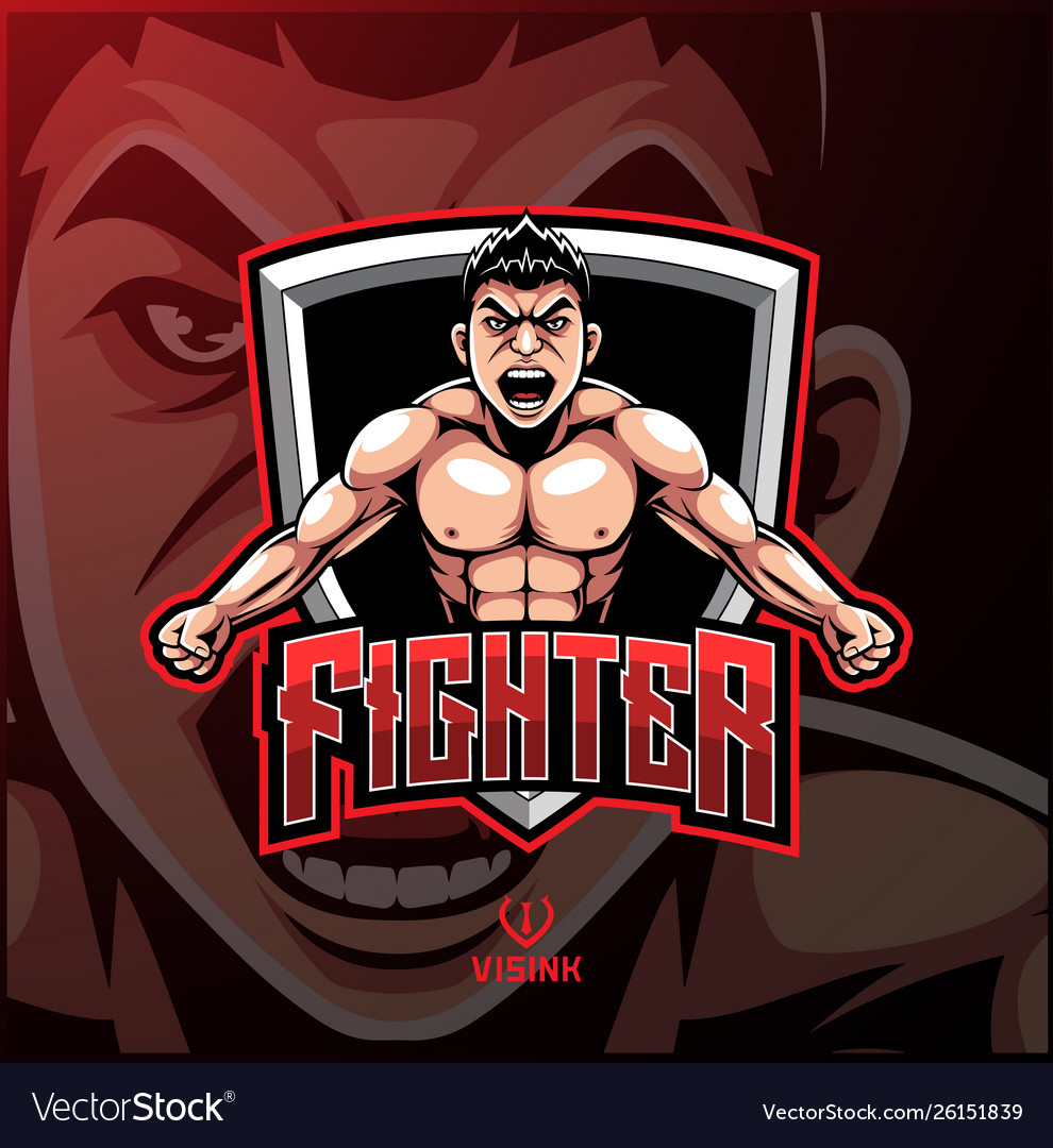 Fighter sport mascot logo design Royalty Free Vector Image