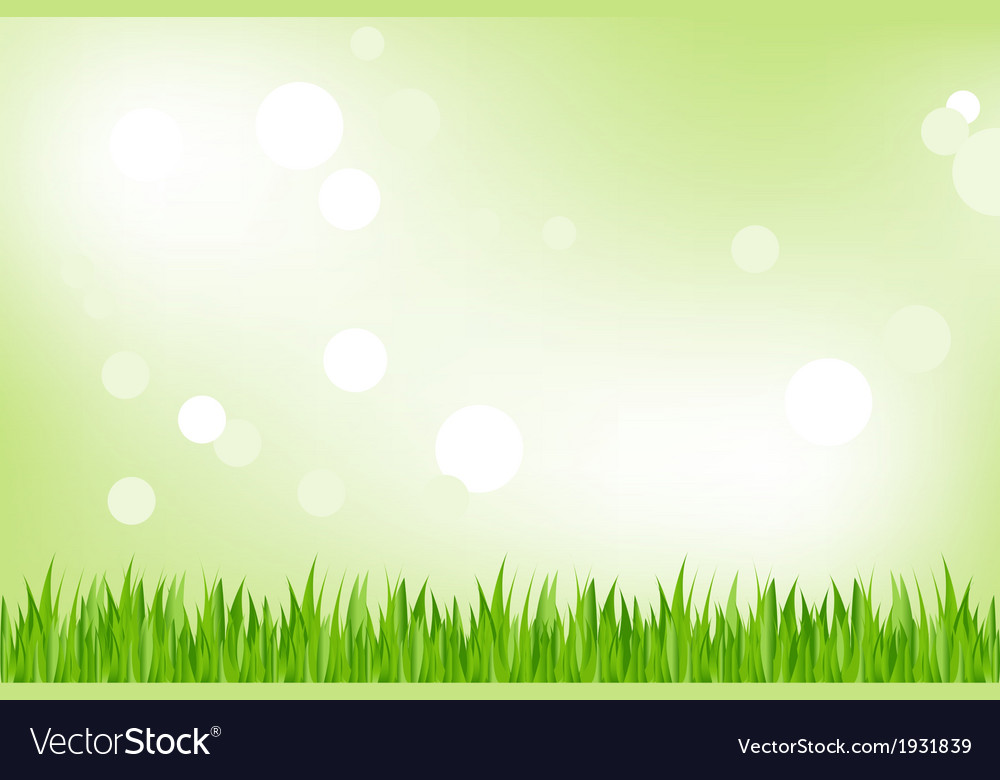 Green grass Royalty Free Vector Image - VectorStock