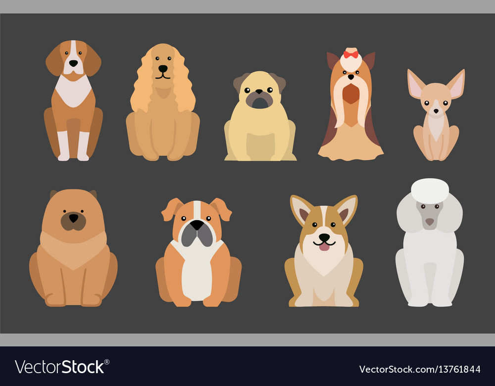 Funny cartoon dog character bread Royalty Free Vector Image