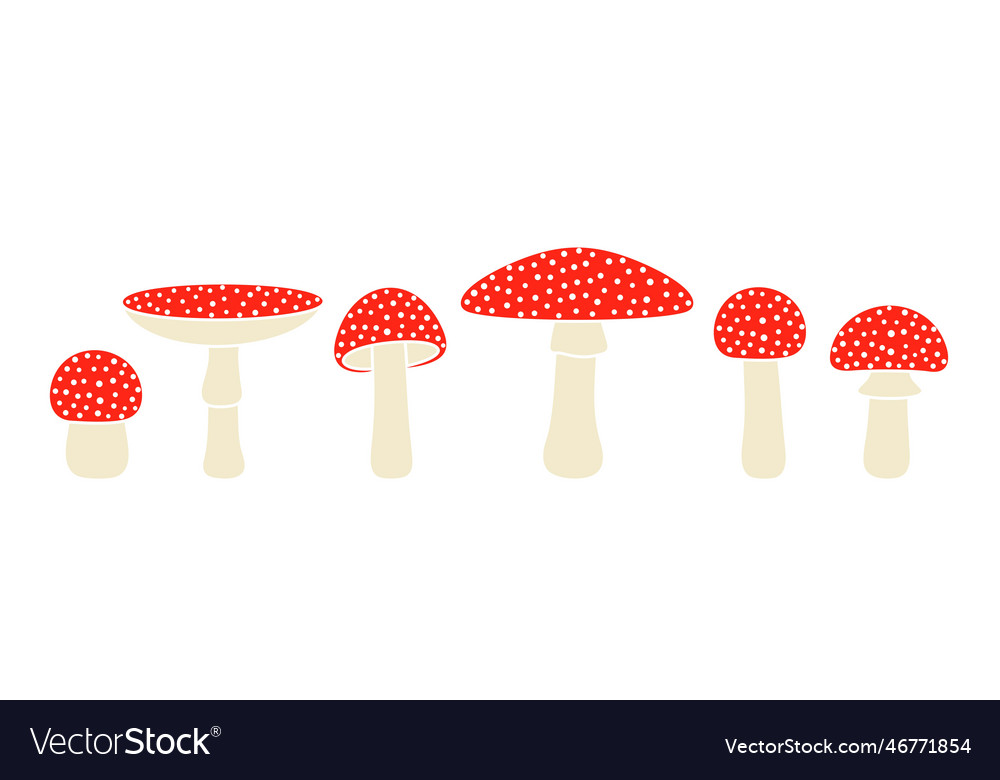 Fly agaric Royalty Free Vector Image - VectorStock