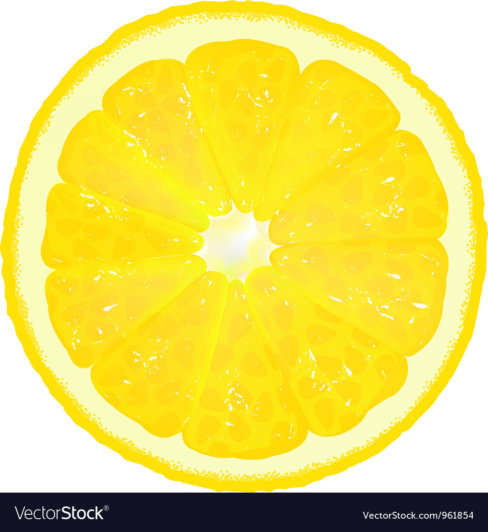 lemon slice vector image
