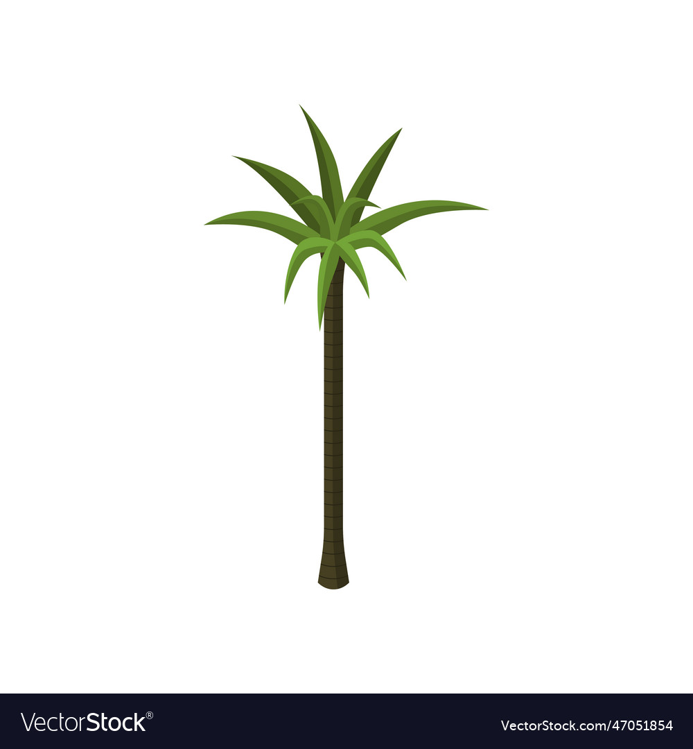 Tall exotic tree tropical vegetation Royalty Free Vector