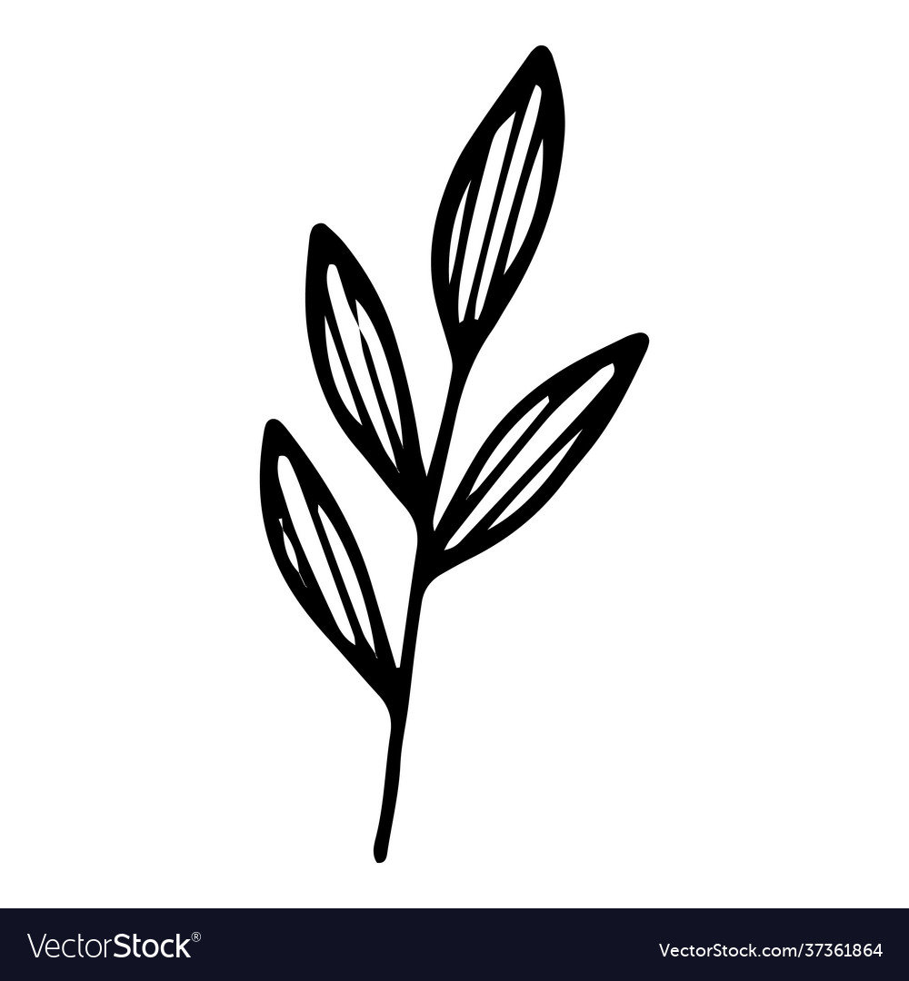 Garden leaf branch icon hand drawn and outline Vector Image