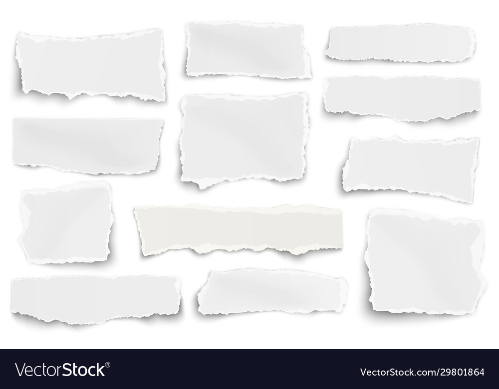 Set paper different shapes scraps isolated Vector Image