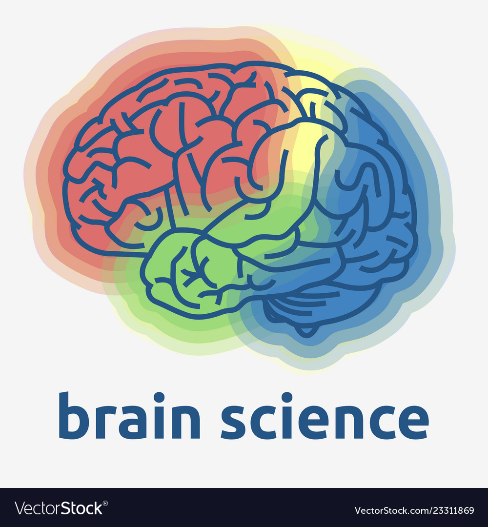 Brain Sciences, Free Full-Text