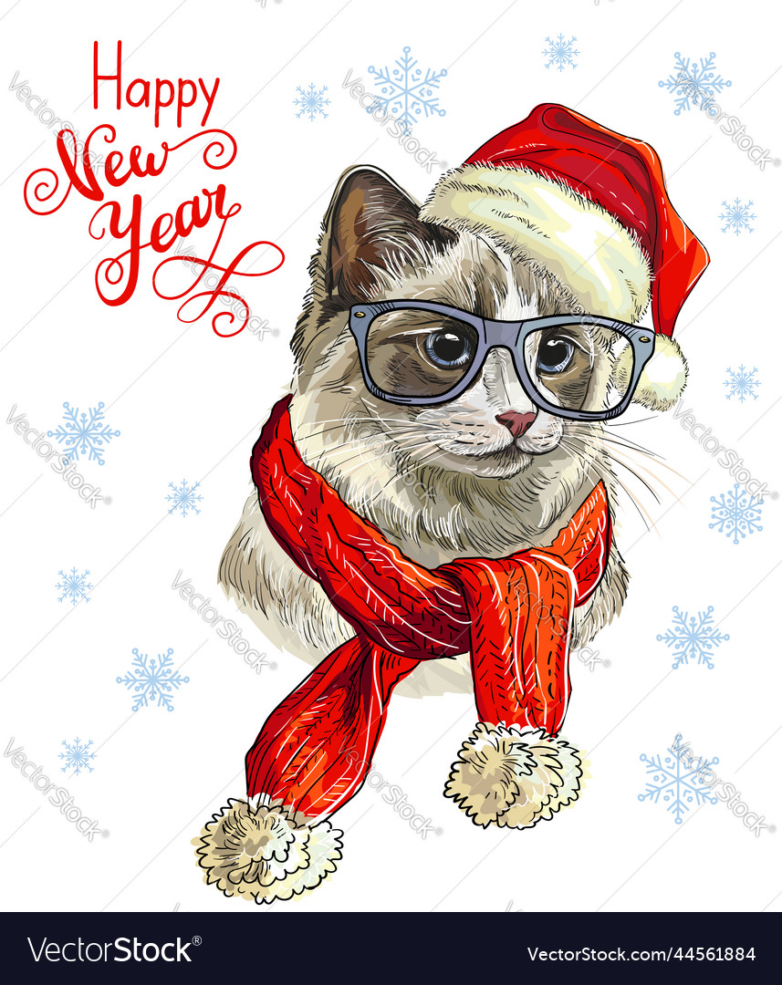 Cat in christmas hat and snow Royalty Free Vector Image