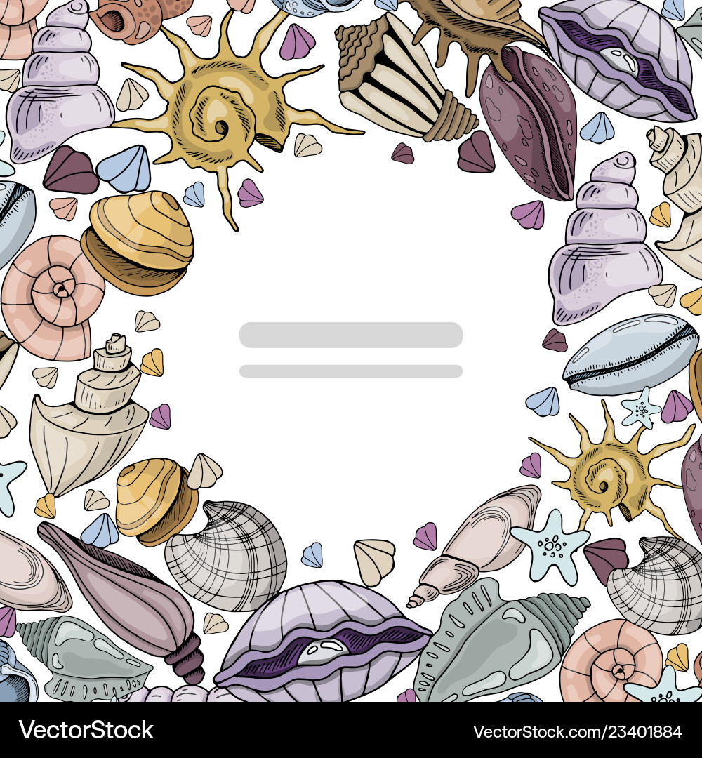 Seashells set Royalty Free Vector Image - VectorStock