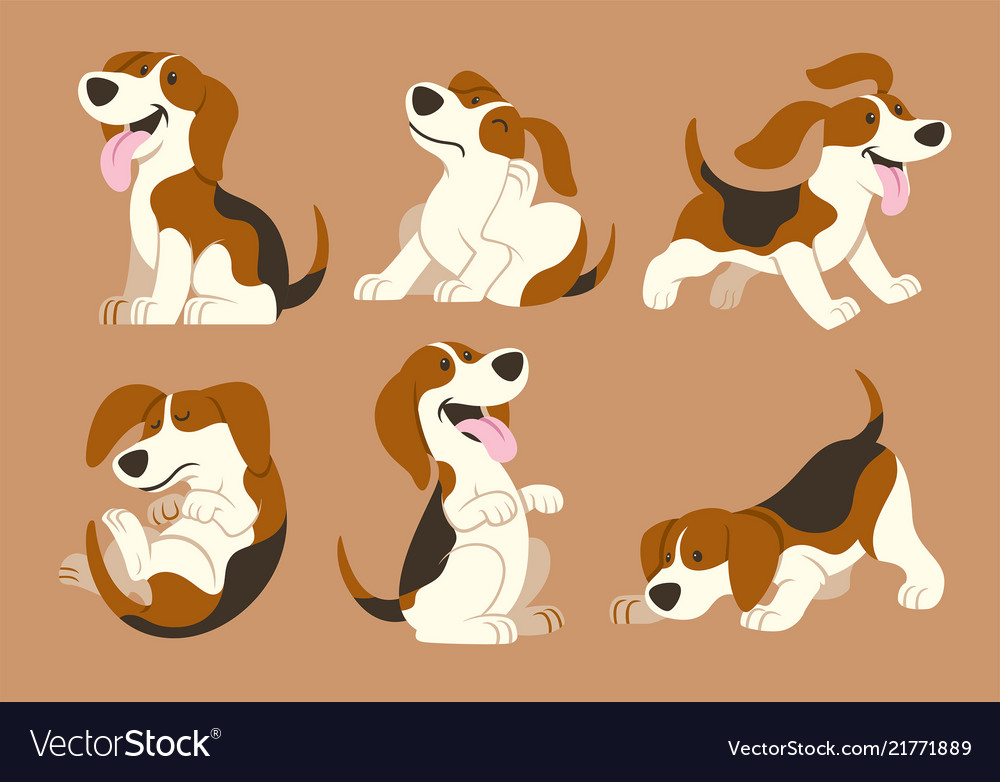 Beagle dog cartoon Royalty Free Vector Image VectorStock