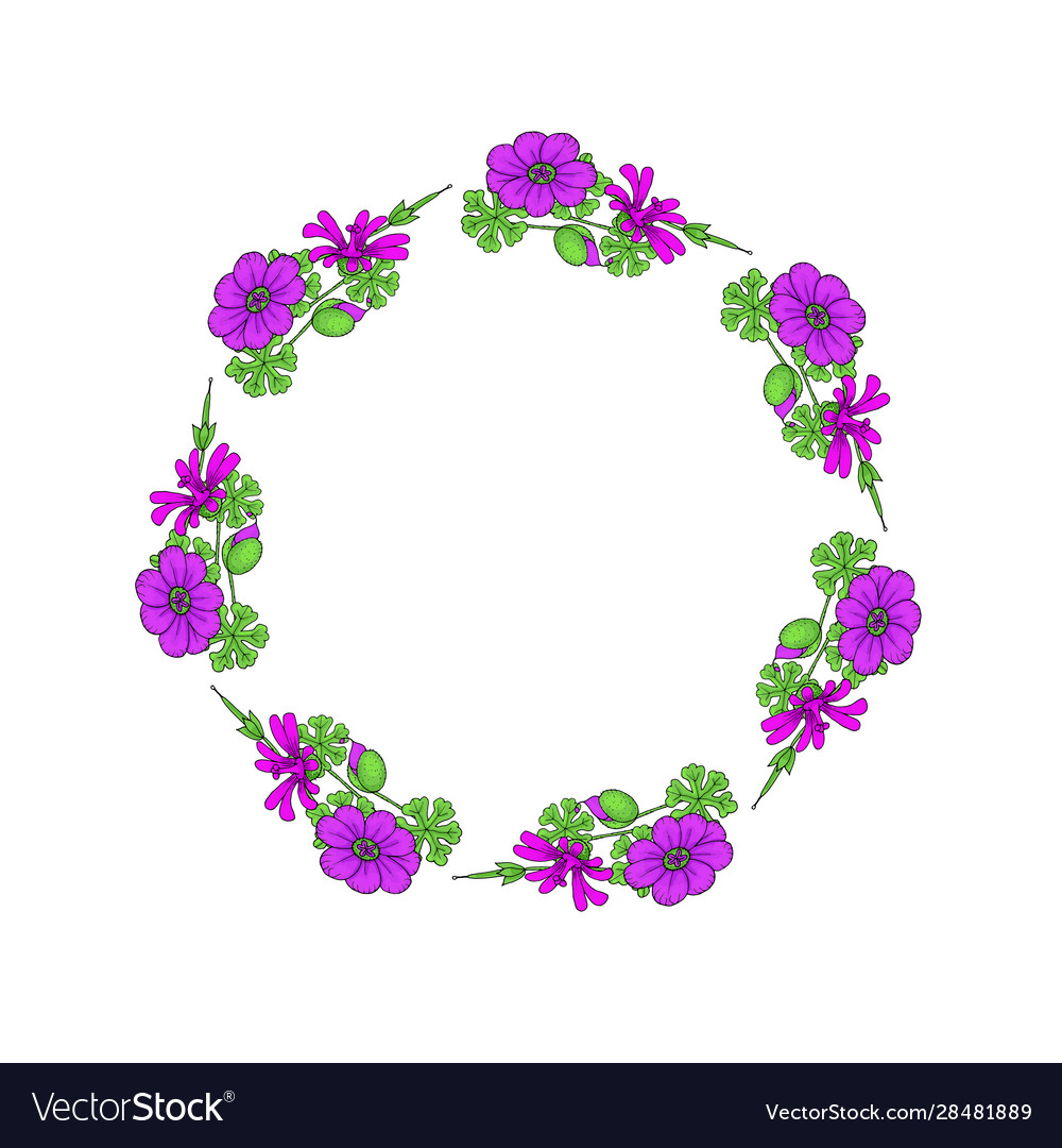 Frame template from doodle flowers isolated Vector Image