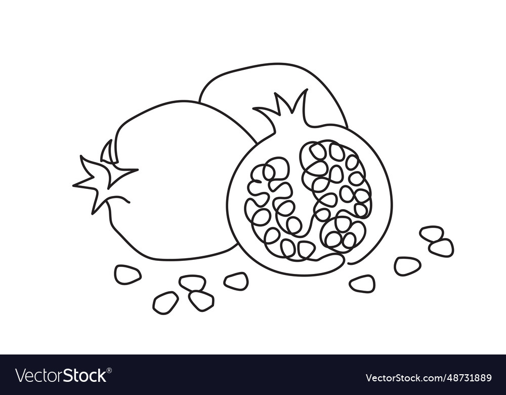 Pomegranate happy shana tova design Royalty Free Vector